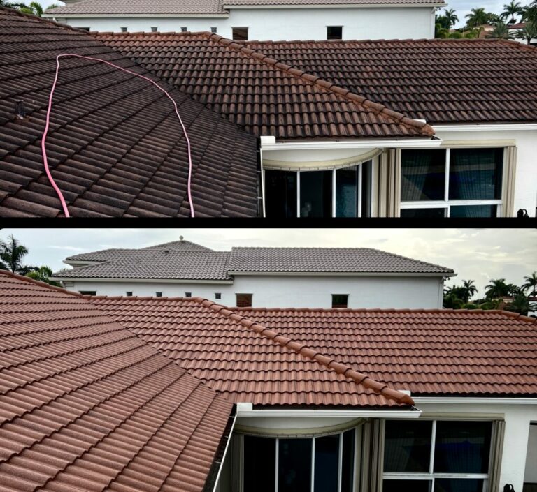 Roof Cleaning Services Near Me